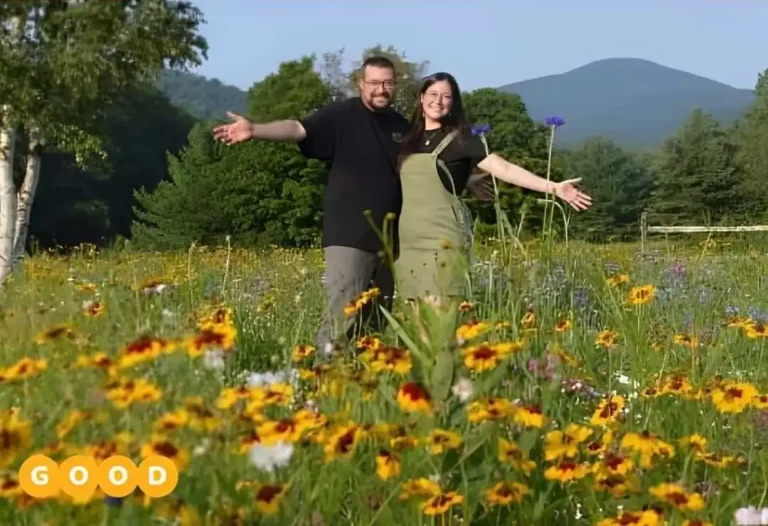 turning lawn into meadow