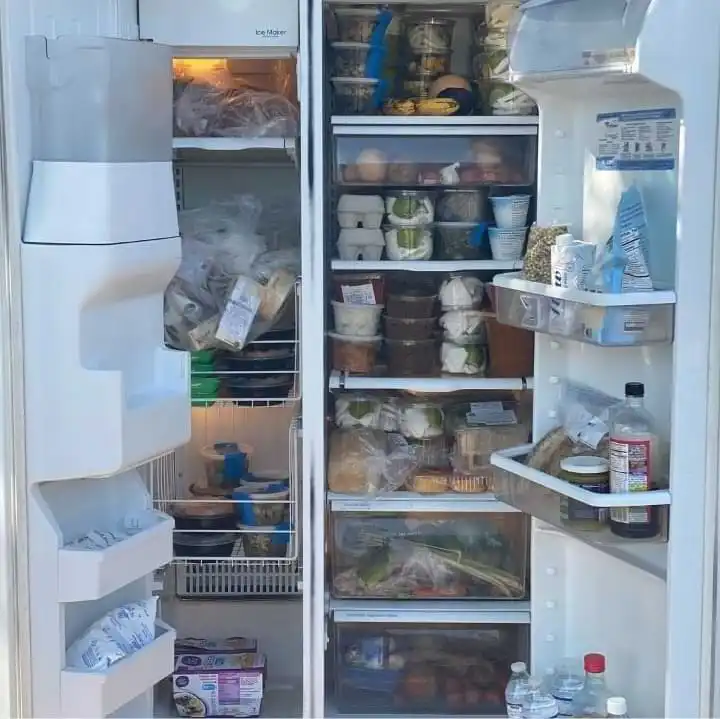 free fridge program