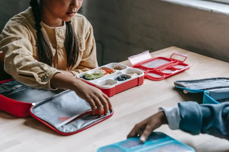 student lunch debt