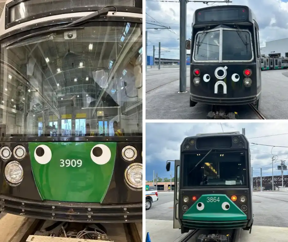 Googly eyes on the T