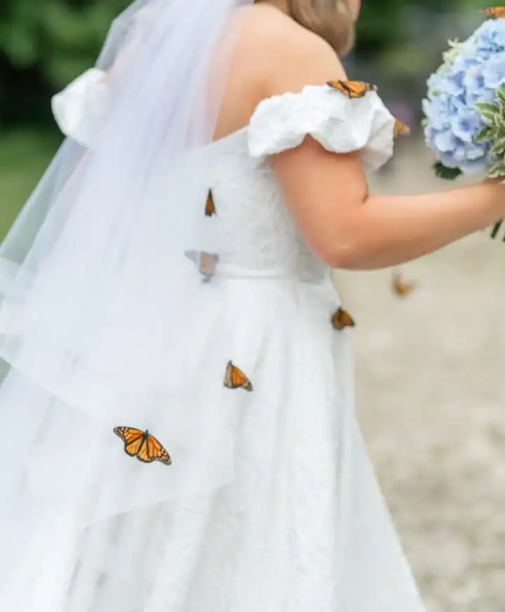 releasing butterflies at wedding